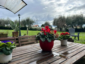 Casa Holly